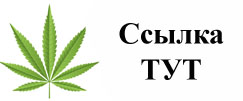 Купить наркотики в Заводоуковске